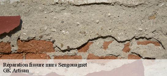 Réparation fissure murs  31160