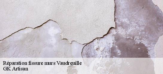 Réparation fissure murs  31250