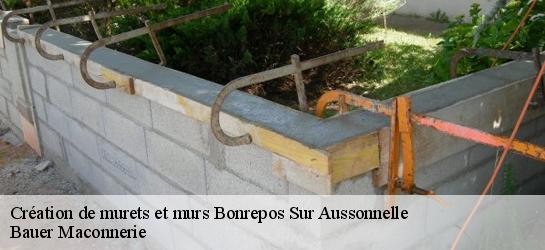Création de murets et murs  31470