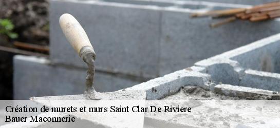 Création de murets et murs 31600