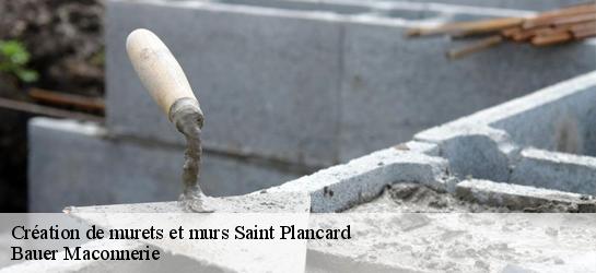 Création de murets et murs  31580