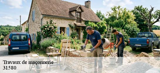Travaux de maçonnerie  31580