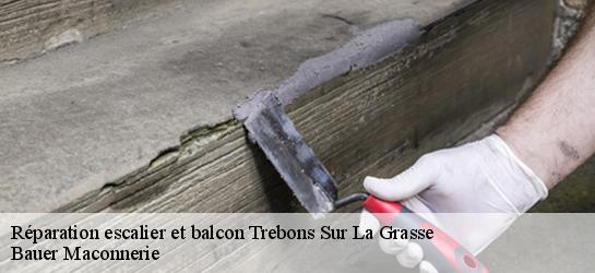 Réparation escalier et balcon 31290