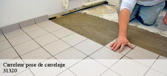 Carreleur pose de carrelage  31320