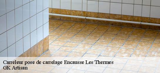 Carreleur pose de carrelage 31160