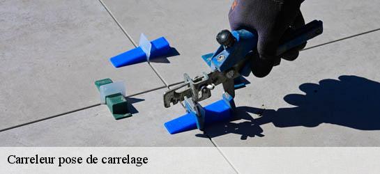 Carreleur pose de carrelage 31620