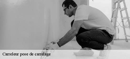Carreleur pose de carrelage 31510