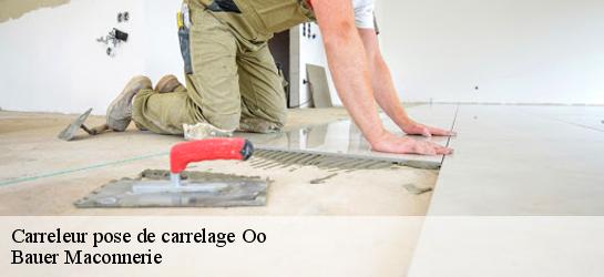 Carreleur pose de carrelage  31110