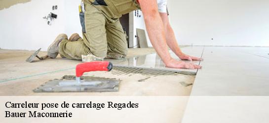 Carreleur pose de carrelage  31800