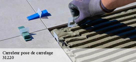 Carreleur pose de carrelage 31220