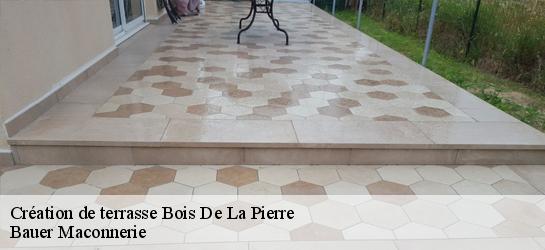 Création de terrasse  31390