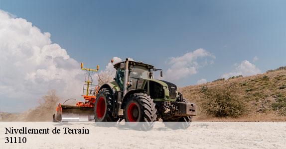 Nivellement de Terrain 31110