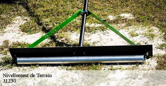 Nivellement de Terrain  31230