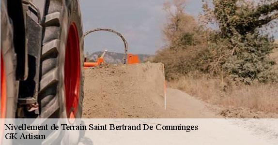 Nivellement de Terrain 31510