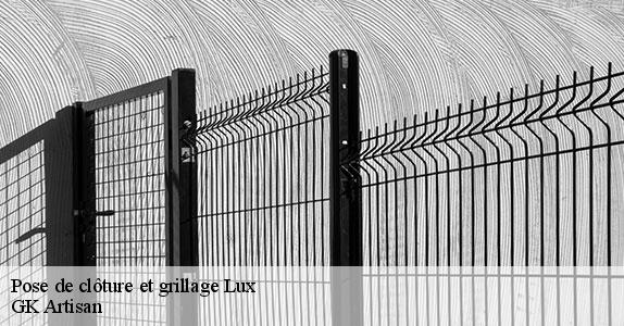 Pose de clôture et grillage  31290