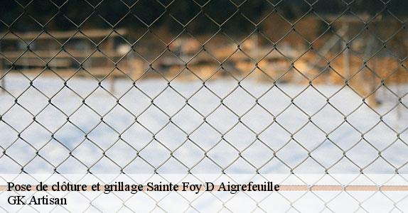 Pose de clôture et grillage 31570