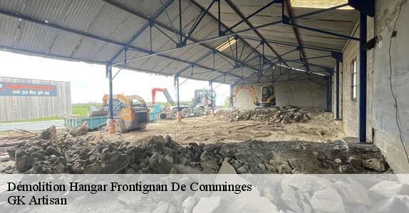 Démolition Hangar 31510