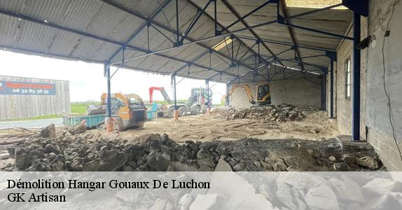 Démolition Hangar  31110