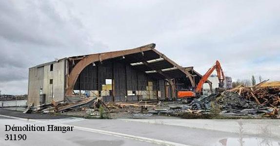 Démolition Hangar 31190