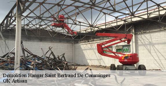Démolition Hangar 31510