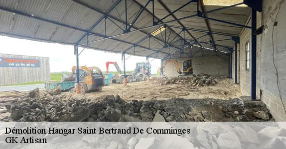 Démolition Hangar 31510