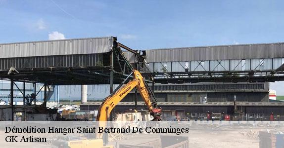 Démolition Hangar 31510