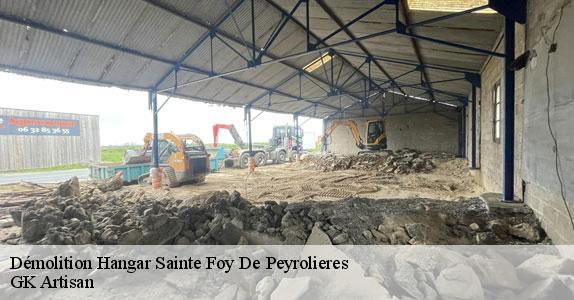 Démolition Hangar 31470