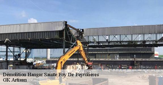 Démolition Hangar 31470