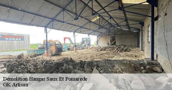 Démolition Hangar 31800